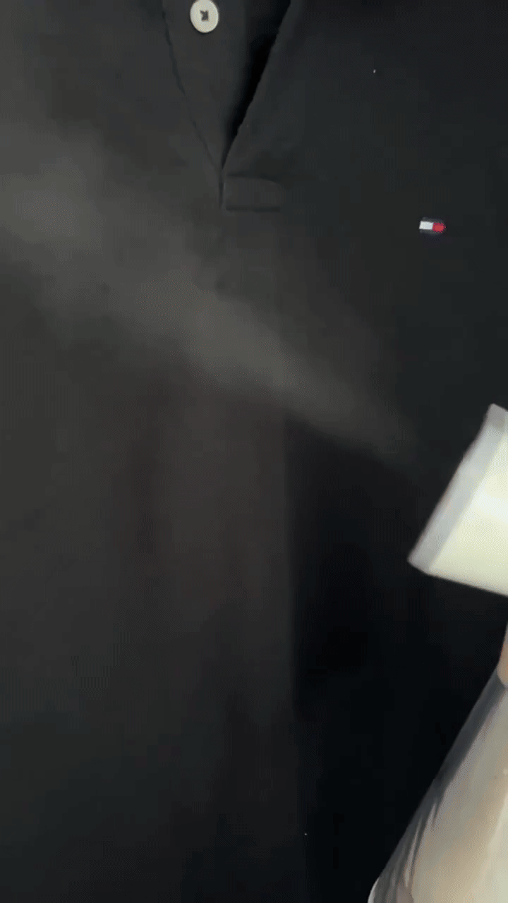 Golden Crest - Handheld Garment Steamer